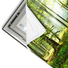 Led Wandbild Sonniger Morgen Im Wald Quadrat Materialvorschau