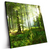 Led Wandbild Sonniger Morgen Im Wald Quadrat Produktvorschau Seitlich