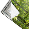 Led Wandbild Sonniger Morgen Im Wald Schmal Materialvorschau