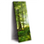 Led Wandbild Sonniger Morgen Im Wald Schmal Produktvorschau Seitlich