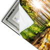 Led Wandbild Sonniger Wald Querformat Materialvorschau