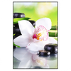 Led Wandbild Spa Wellness Steine Hochformat Produktvorschau Frontal