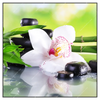 Led Wandbild Spa Wellness Steine Quadrat Produktvorschau Frontal