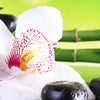 Led Wandbild Spa Wellness Steine Querformat Zoom