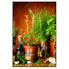 Led Wandbild Stillleben Mit Mediterranen Kraeutern Hochformat Produktvorschau Frontal