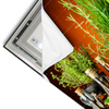 Led Wandbild Stillleben Mit Mediterranen Kraeutern Querformat Materialvorschau