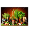 Led Wandbild Stillleben Mit Mediterranen Kraeutern Querformat Produktvorschau Frontal