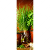 Led Wandbild Stillleben Mit Mediterranen Kraeutern Schmal Motivvorschau