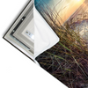 Led Wandbild Strandlandschaft Mit Gras Querformat Materialvorschau