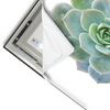 Led Wandbild Sukkulente No 3 Querformat Materialvorschau