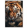 Led Wandbild Tiger Im Wasser Hochformat Produktvorschau Frontal