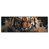 Led Wandbild Tiger Im Wasser Panorama Produktvorschau Frontal