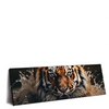 Led Wandbild Tiger Im Wasser Panorama Produktvorschau Seitlich