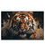 Led Wandbild Tiger Im Wasser Querformat Produktvorschau Frontal