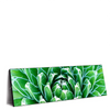 Led Wandbild Tropische Pflanze Panorama Produktvorschau Seitlich
