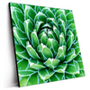 Led Wandbild Tropische Pflanze Quadrat Produktvorschau Seitlich
