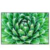 Led Wandbild Tropische Pflanze Querformat Produktvorschau Frontal
