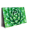 Led Wandbild Tropische Pflanze Querformat Produktvorschau Seitlich