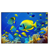 Led Wandbild Tropische Unterwasserwelt Querformat Produktvorschau Frontal