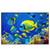 Led Wandbild Tropische Unterwasserwelt Querformat Produktvorschau Frontal