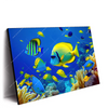 Led Wandbild Tropische Unterwasserwelt Querformat Produktvorschau Seitlich