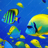 Led Wandbild Tropische Unterwasserwelt Querformat Zoom