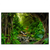 Led Wandbild Tropischer Dschungel Querformat Produktvorschau Frontal
