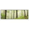Led Wandbild Unberuehrte Natur Der Wald Panorama Produktvorschau Frontal