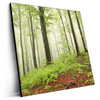 Led Wandbild Unberuehrte Natur Der Wald Quadrat Produktvorschau Seitlich