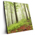 Led Wandbild Unberuehrte Natur Der Wald Quadrat Produktvorschau Seitlich