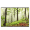 Led Wandbild Unberuehrte Natur Der Wald Querformat Produktvorschau Frontal