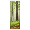 Led Wandbild Unberuehrte Natur Der Wald Schmal Produktvorschau Frontal