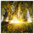 Led Wandbild Unberuehrte Natur Quadrat Produktvorschau Frontal
