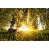 Led Wandbild Unberuehrte Natur Querformat Motivvorschau