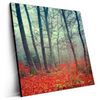 Led Wandbild Vertraeumter Wald Quadrat Produktvorschau Seitlich
