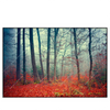 Led Wandbild Vertraeumter Wald Querformat Produktvorschau Frontal