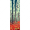 Led Wandbild Vertraeumter Wald Schmal Motivvorschau