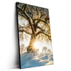 Led Wandbild Verzauberte Winterlandschaft Hochformat Produktvorschau Seitlich