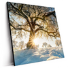 Led Wandbild Verzauberte Winterlandschaft Quadrat Produktvorschau Seitlich