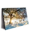 Led Wandbild Verzauberte Winterlandschaft Querformat Produktvorschau Seitlich