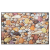 Led Wandbild Viele Muscheln Querformat Produktvorschau Frontal