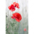 Led Wandbild Vintage Klatschmohn Hochformat Motivvorschau