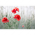 Led Wandbild Vintage Klatschmohn Querformat Motivvorschau