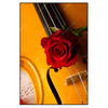 Led Wandbild Violine Rose Hochformat Produktvorschau Frontal