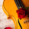 Led Wandbild Violine Rose Quadrat Motivvorschau