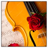 Led Wandbild Violine Rose Quadrat Produktvorschau Frontal