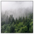 Led Wandbild Wald Im Nebel Quadrat Produktvorschau Frontal