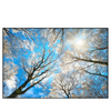 Led Wandbild Wald Im Winter Querformat Produktvorschau Frontal