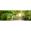 Led Wandbild Wald Mit Bach Bei Sonnenschein Panorama Motivvorschau