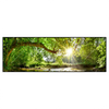 Led Wandbild Wald Mit Bach Bei Sonnenschein Panorama Produktvorschau Frontal
